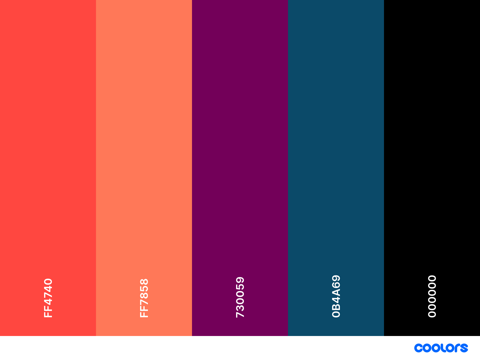 Color Palette