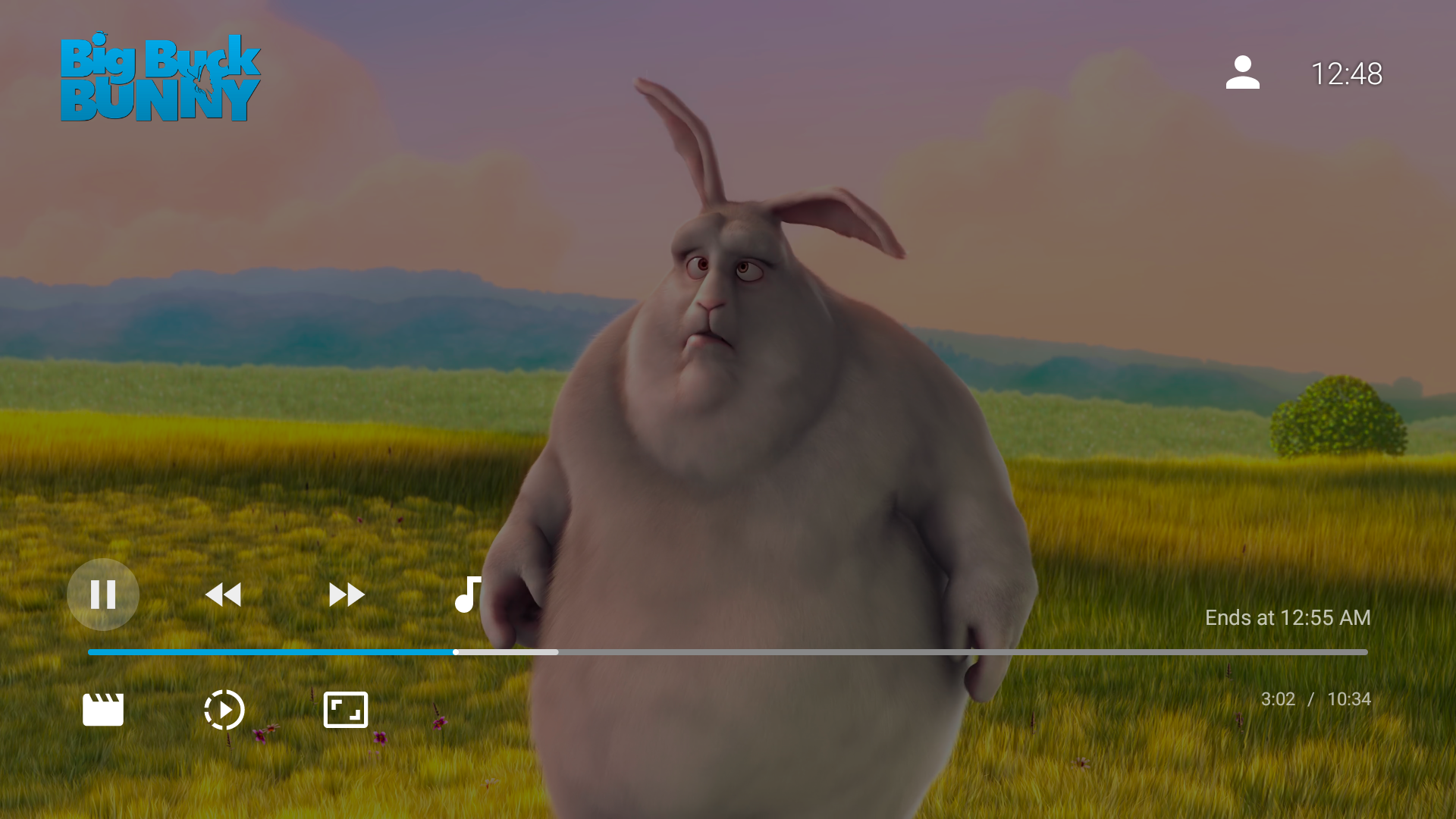 Screenshot 2 of Jellyfin for Android TV — opens full size