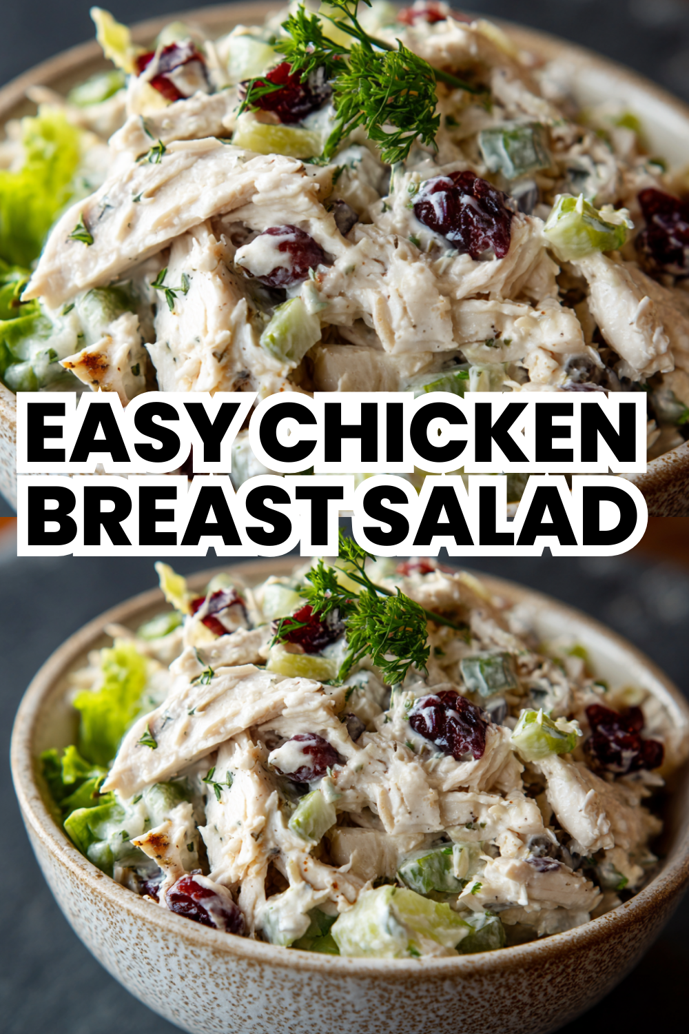 Easy Chicken Breast Salad Recipe