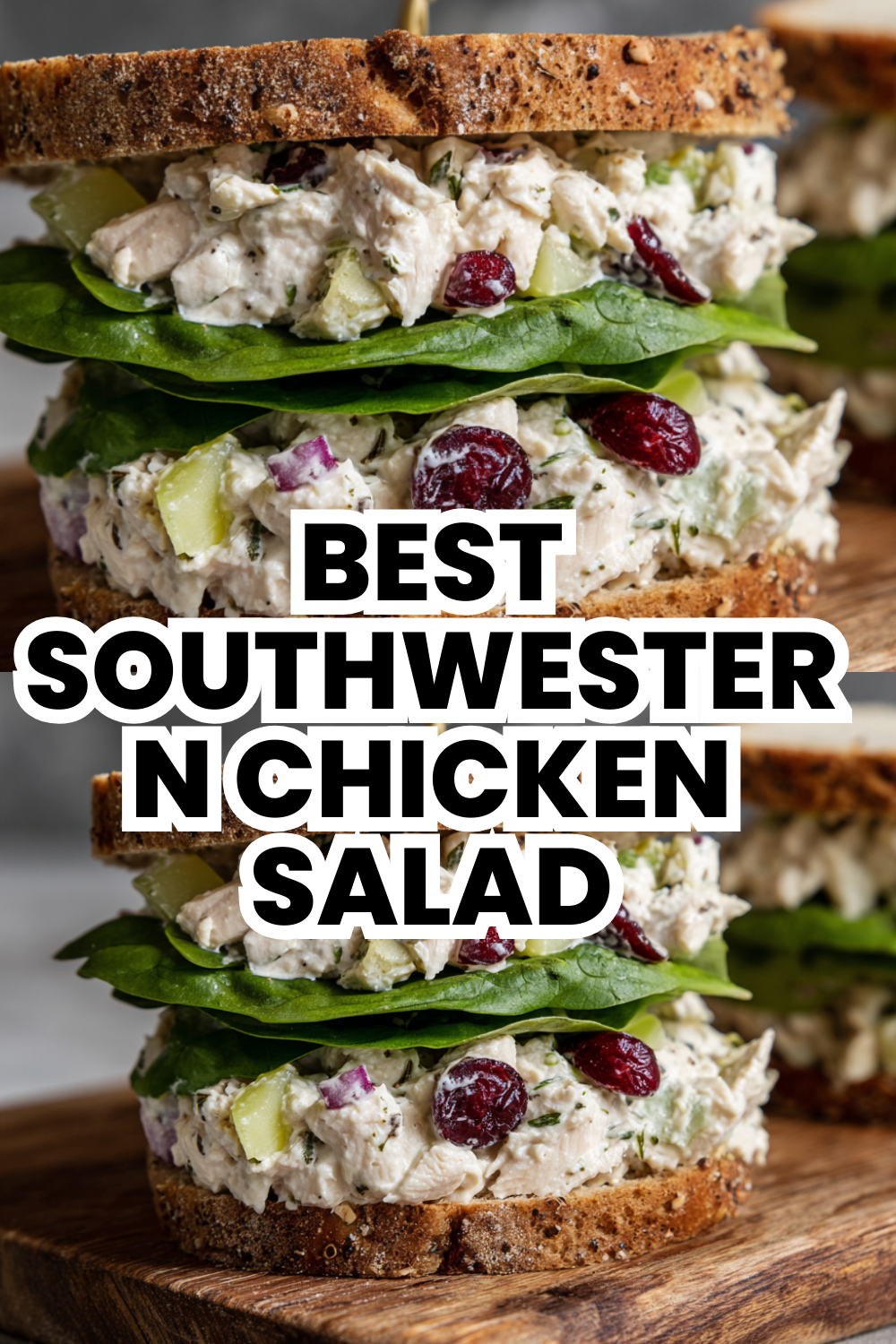 Best Southwestern Chicken Salad Bowl