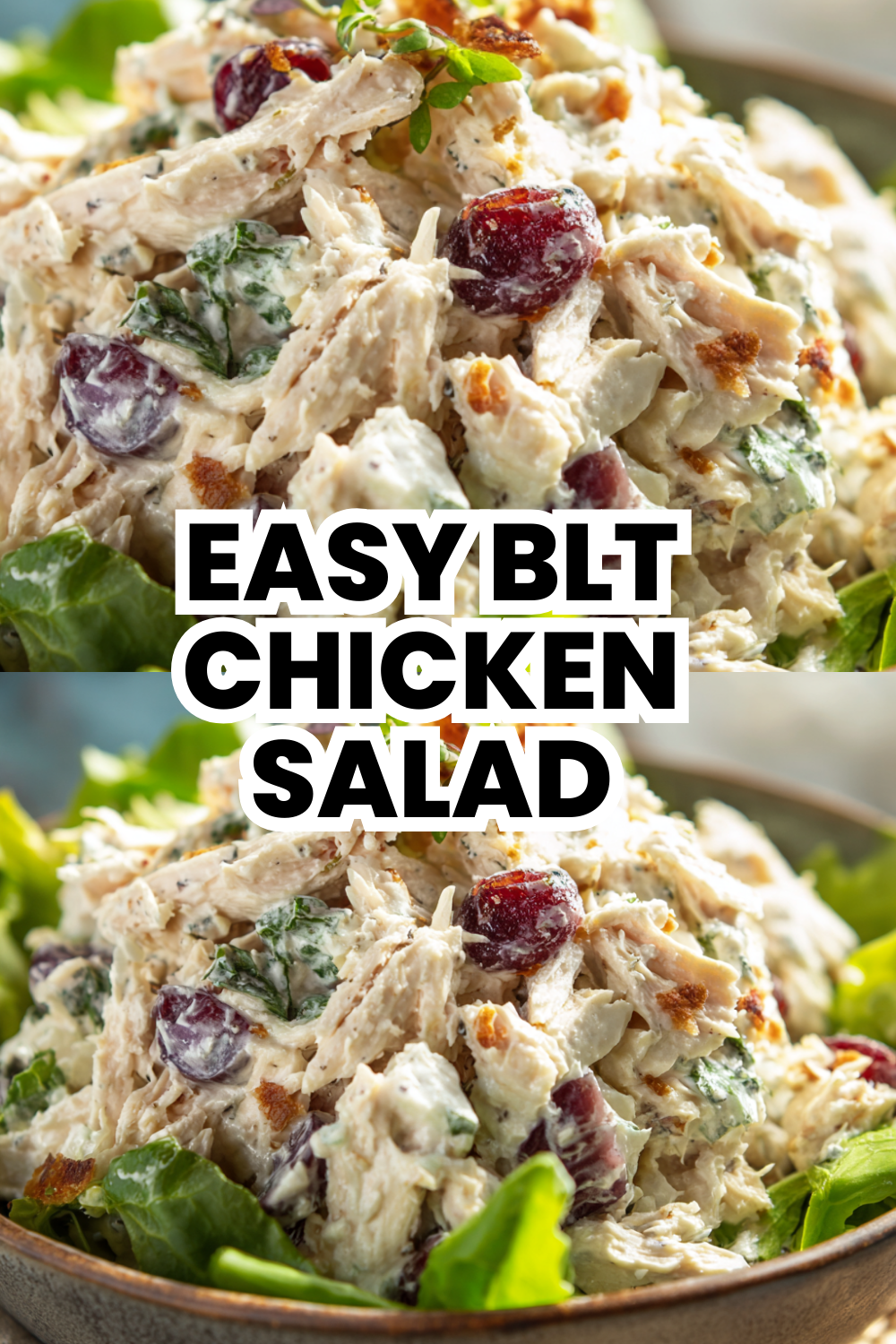 Easy BLT Chicken Salad Recipe