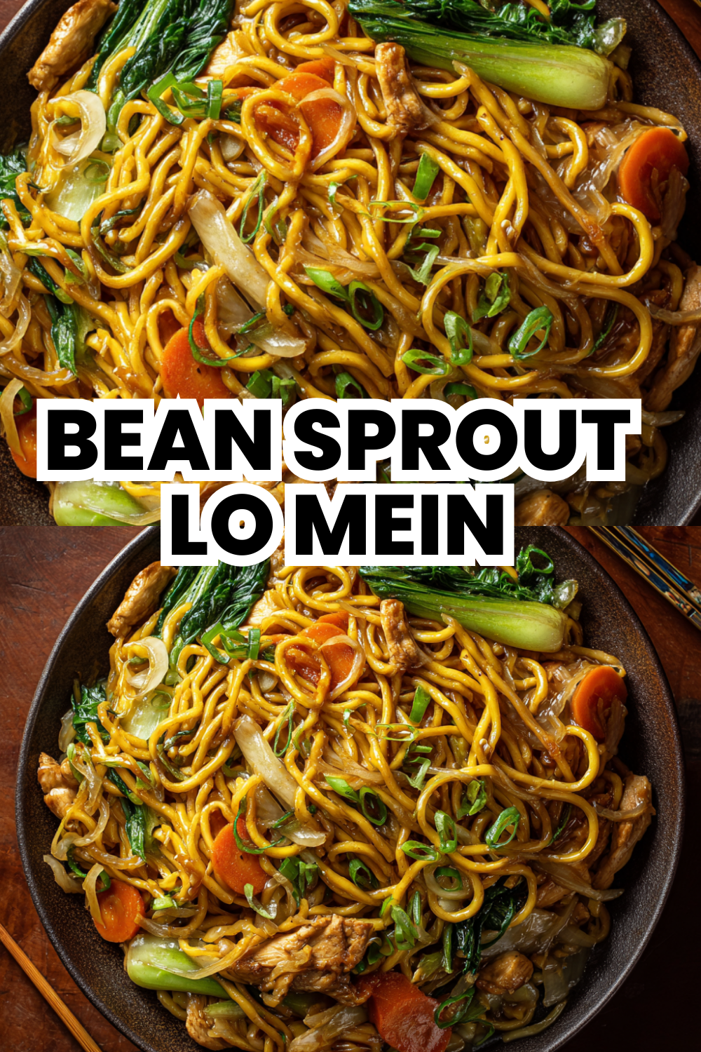 Bean Sprout Lo Mein Light Fresh Garden Taste