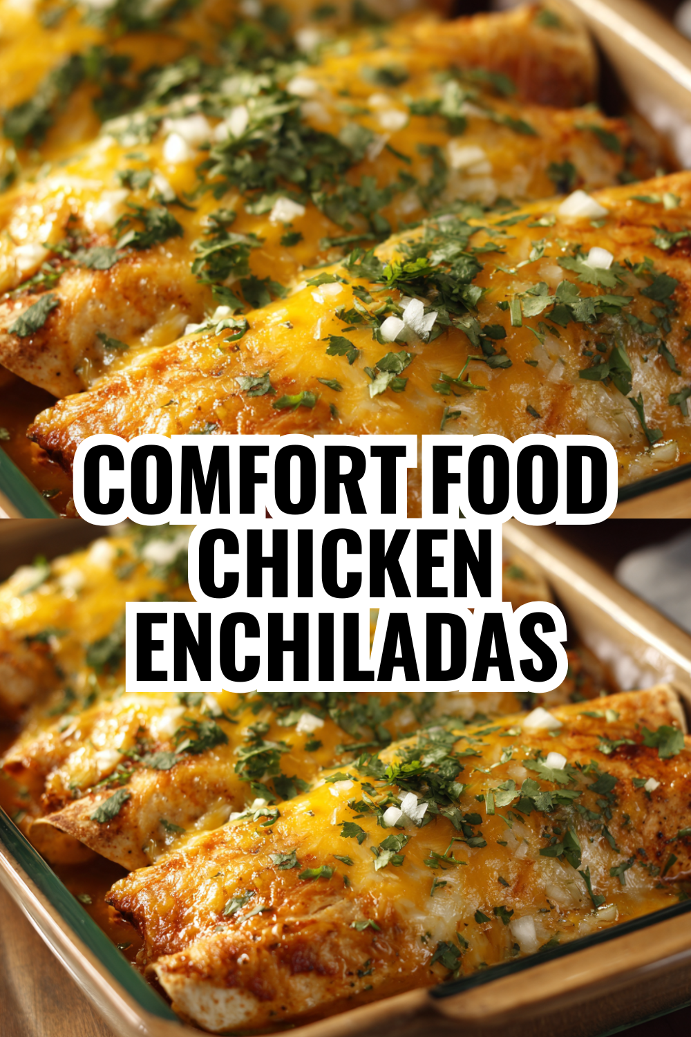 Comfort Food Chicken Enchiladas Perfect for Potlucks and Feeding a Hungry Crowd