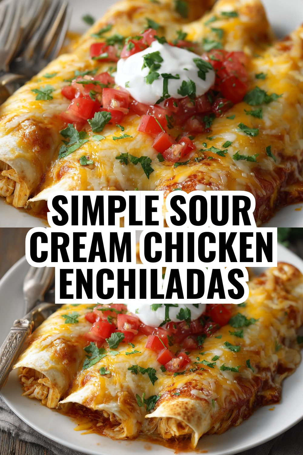 Simple Sour Cream Chicken Enchiladas That Beat Any Restaurant Version Every Time