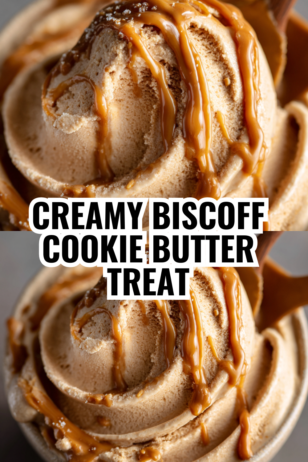 Copycat Trader Joe's Cookie Butter Ice Cream — Restaurant-Quality at Home