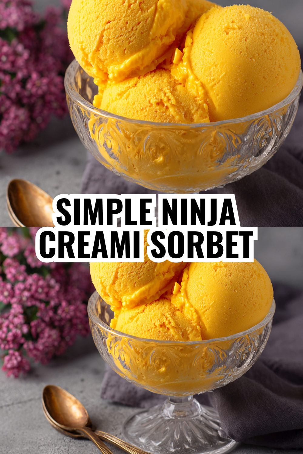 Thick Creamy Mango Sorbet Recipe That Tastes Like Gelato Every Single Time