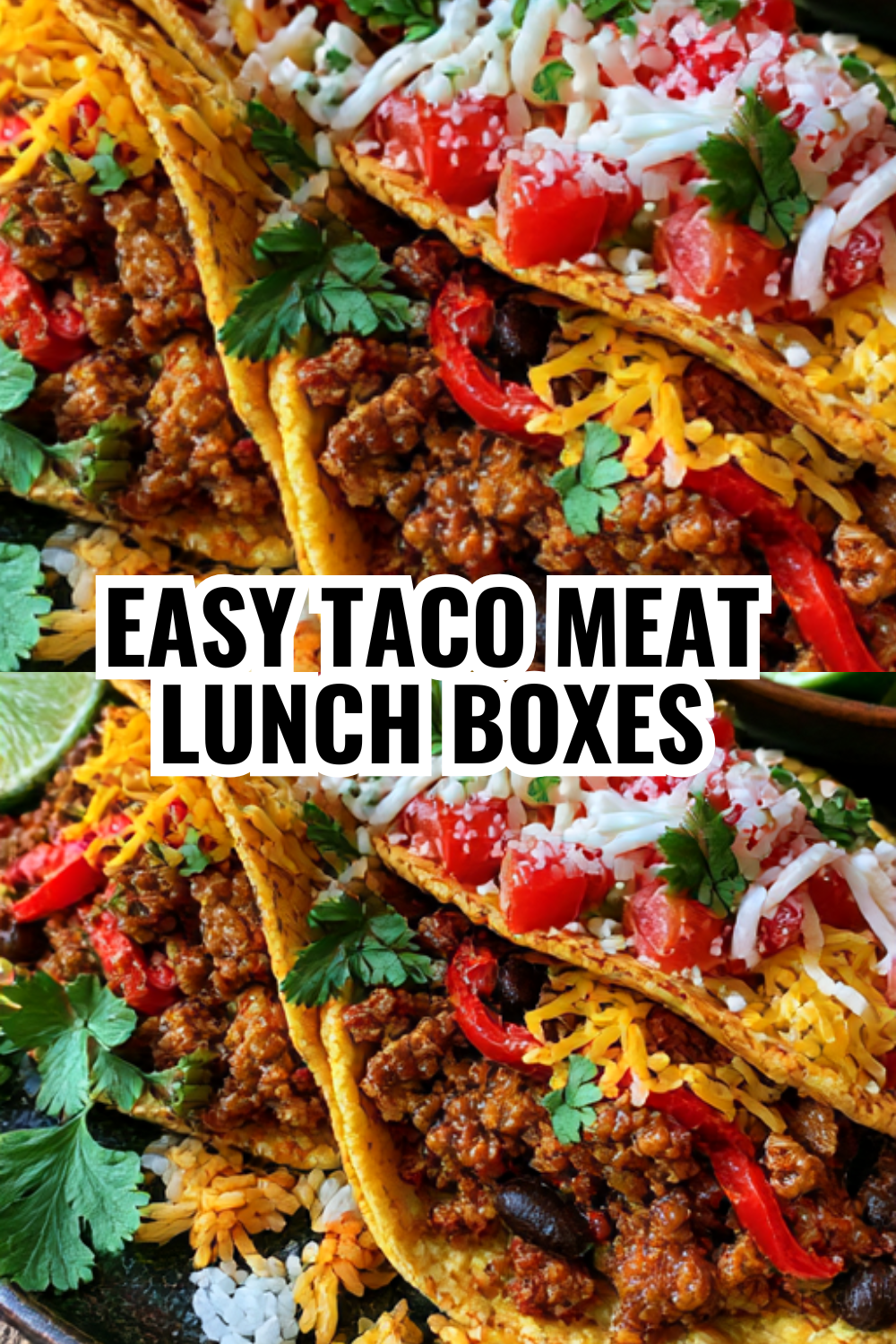 Easy Taco Meat Lunch Boxes — Perfect for Packing Sunday Night Before School