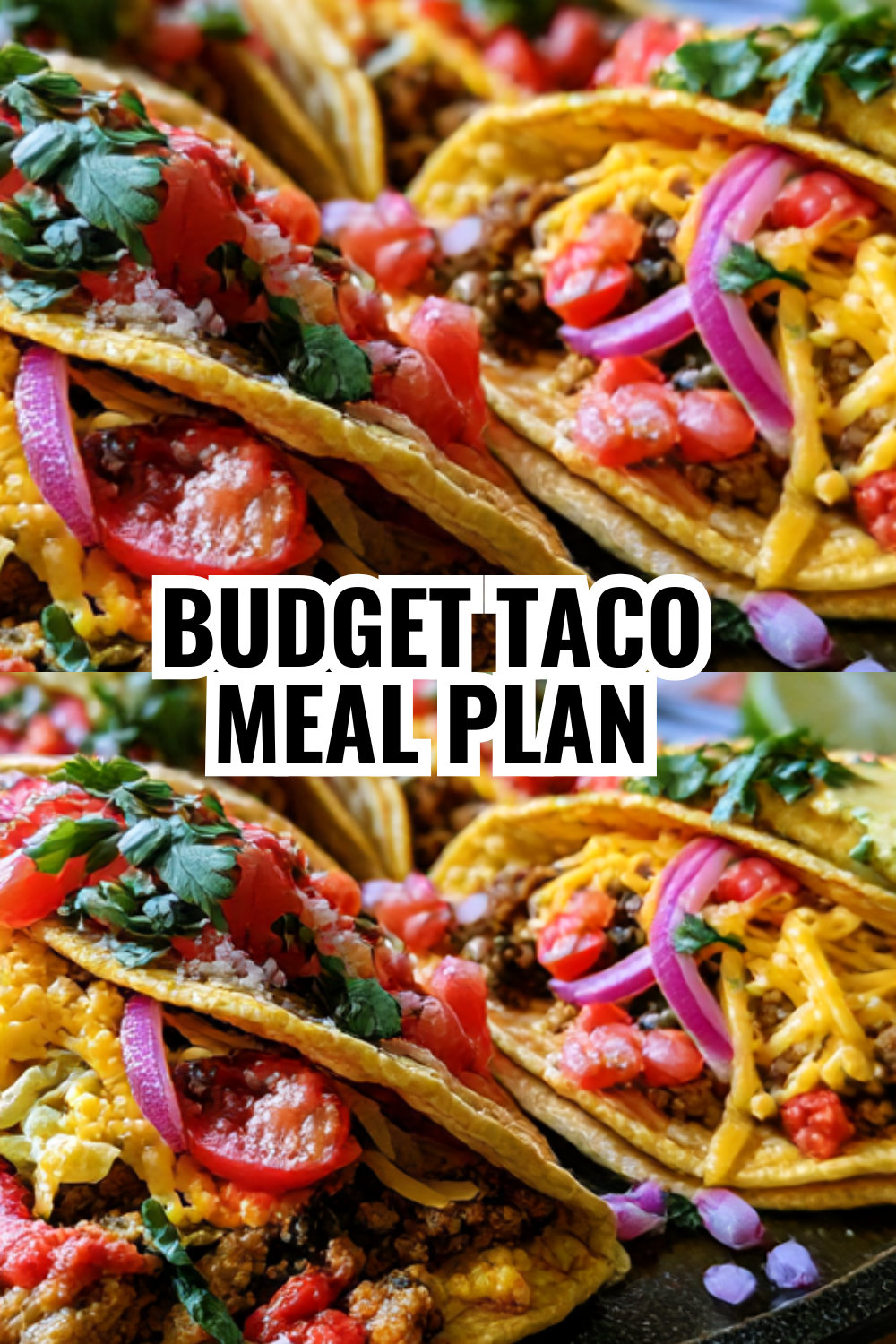 Budget Taco Meal Plan (Feed Your Family for Under Five Dollars)