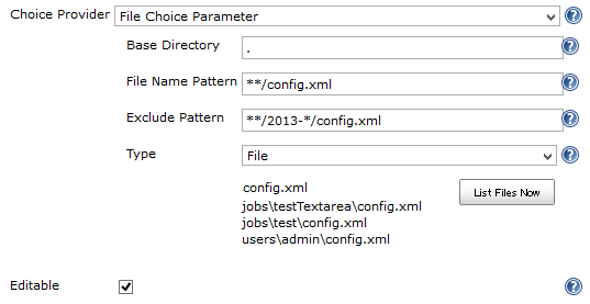File Choice Parameter