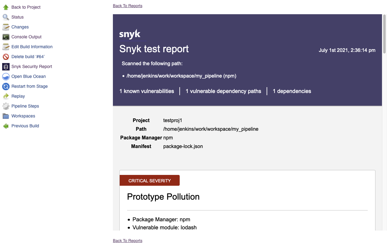 Snyk Build Report