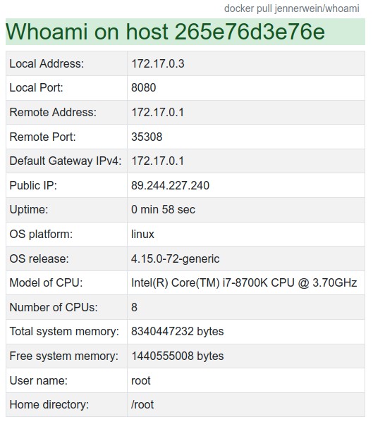 Local Address / Local Port / Remote Address / Remote Port / Default Gateway IPv4 / Public IP / Uptime / ... 