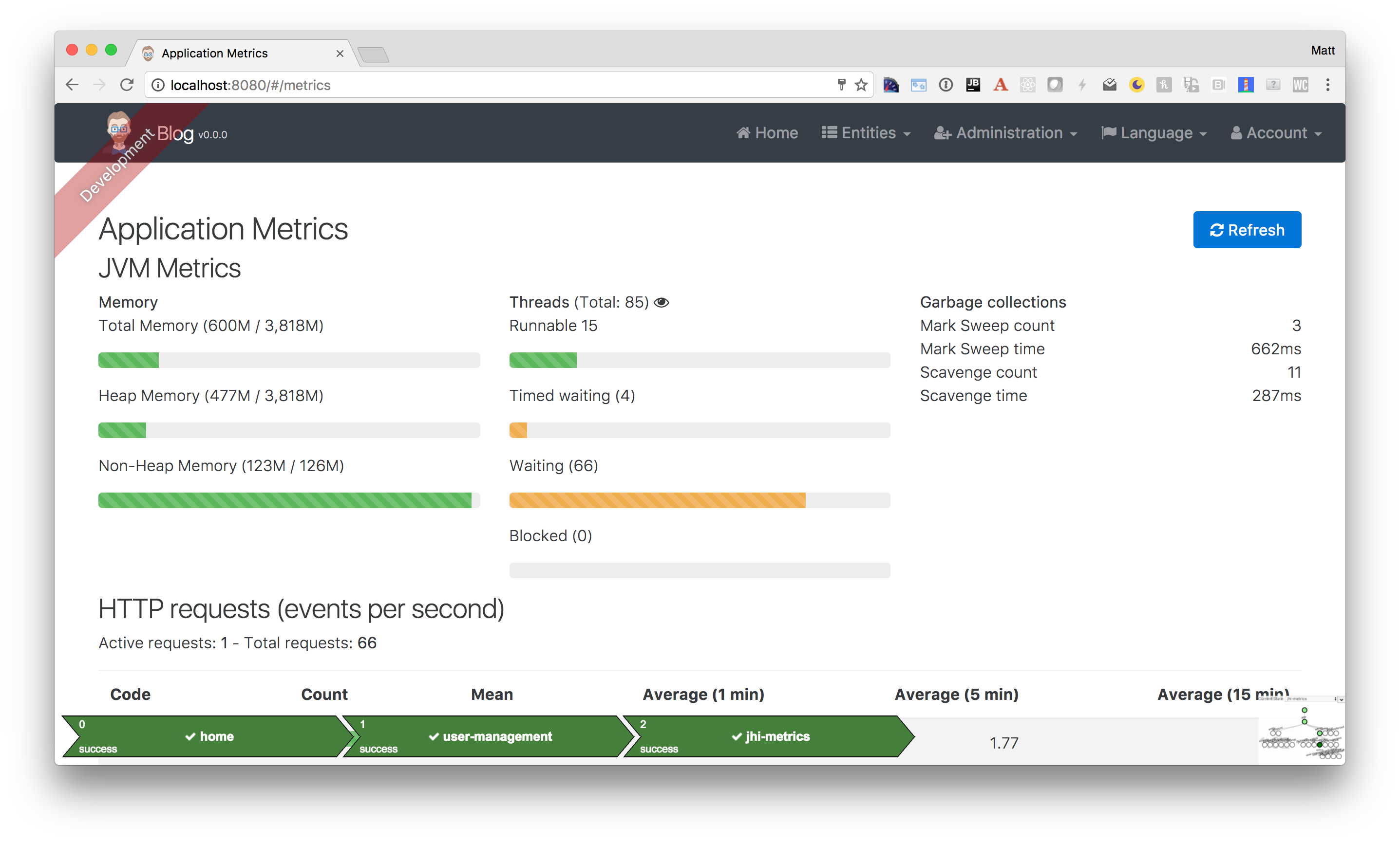 Application and JVM Metrics