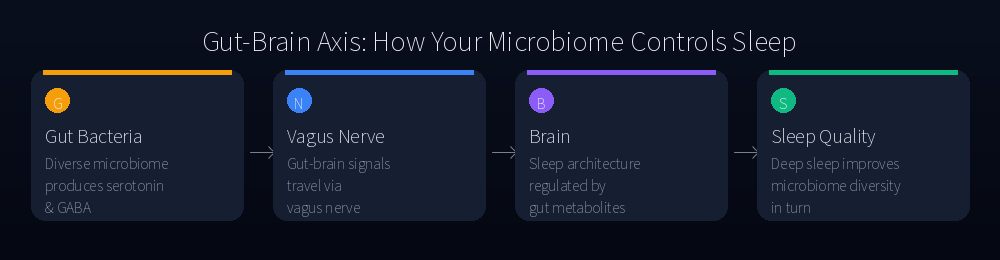 Gut-Brain Axis: How Microbiome Controls Sleep