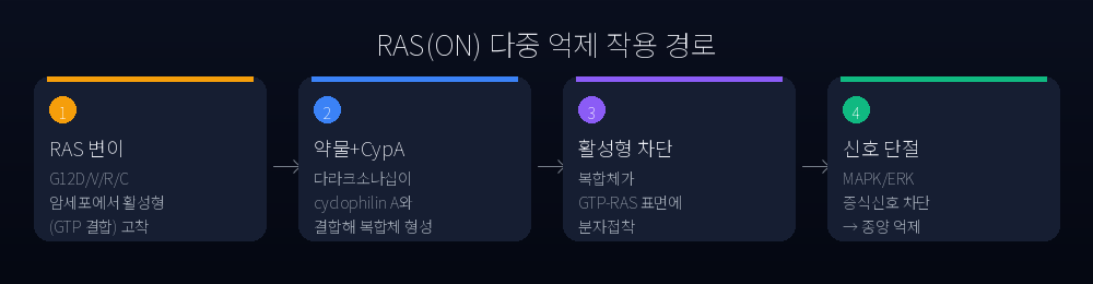 RAS(ON) 다중 억제 작용 경로