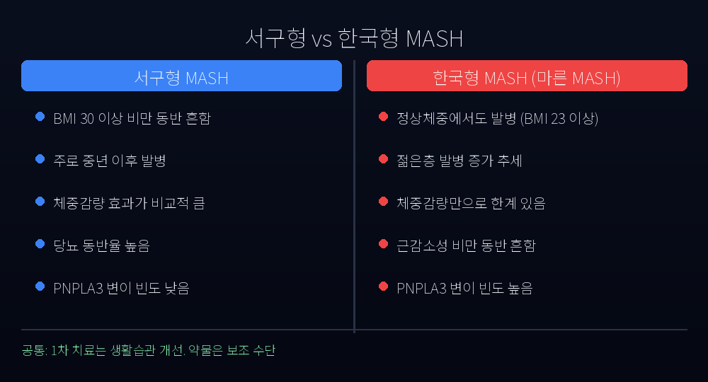 서구형 vs 한국형 MASH