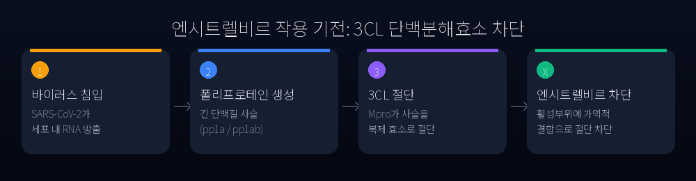 엔시트렐비르의 3CL 단백분해효소 차단 기전
