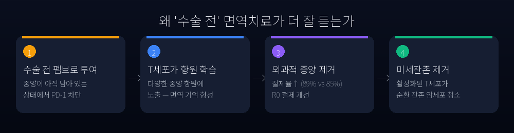 수술 전 면역치료의 작용 경로