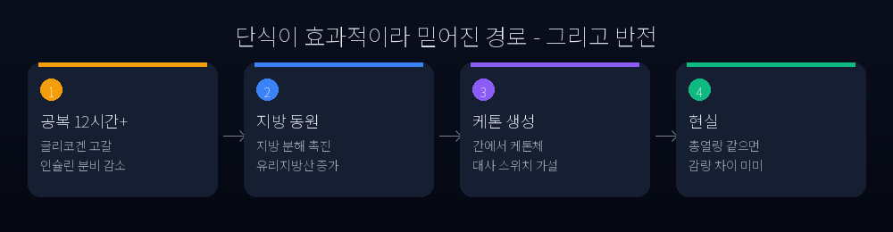 간헐적 단식이 효과적이라 믿어진 대사 경로