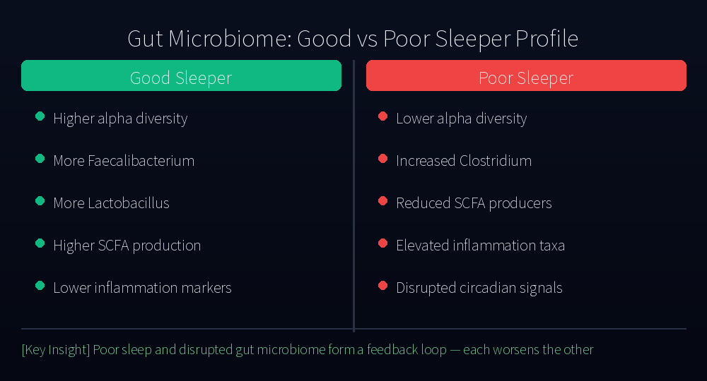Gut microbiome comparison infographic
