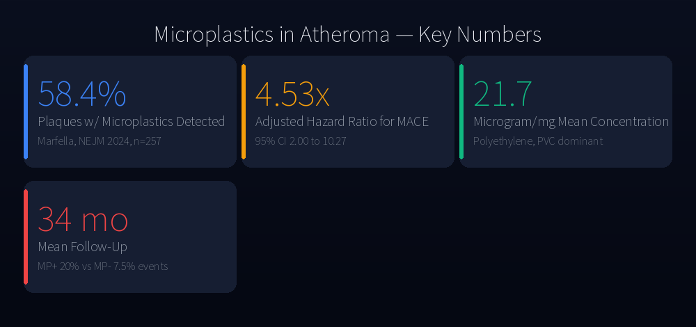 Microplastics in atheroma — key numbers