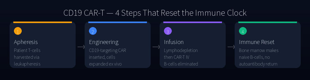 CD19 CAR-T mechanism in four steps
