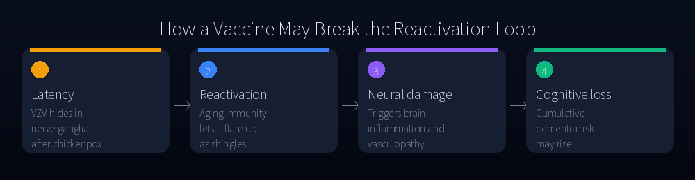 How a vaccine may break the reactivation loop