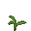 Banana Sapling