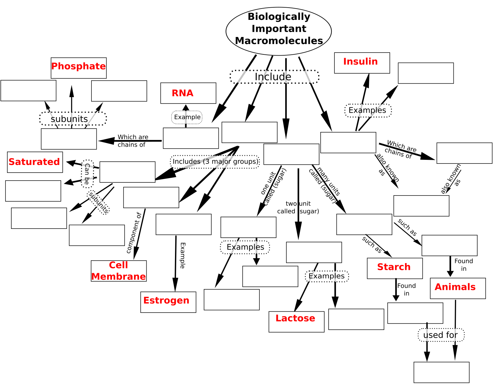 Biological Molecules Concept Map