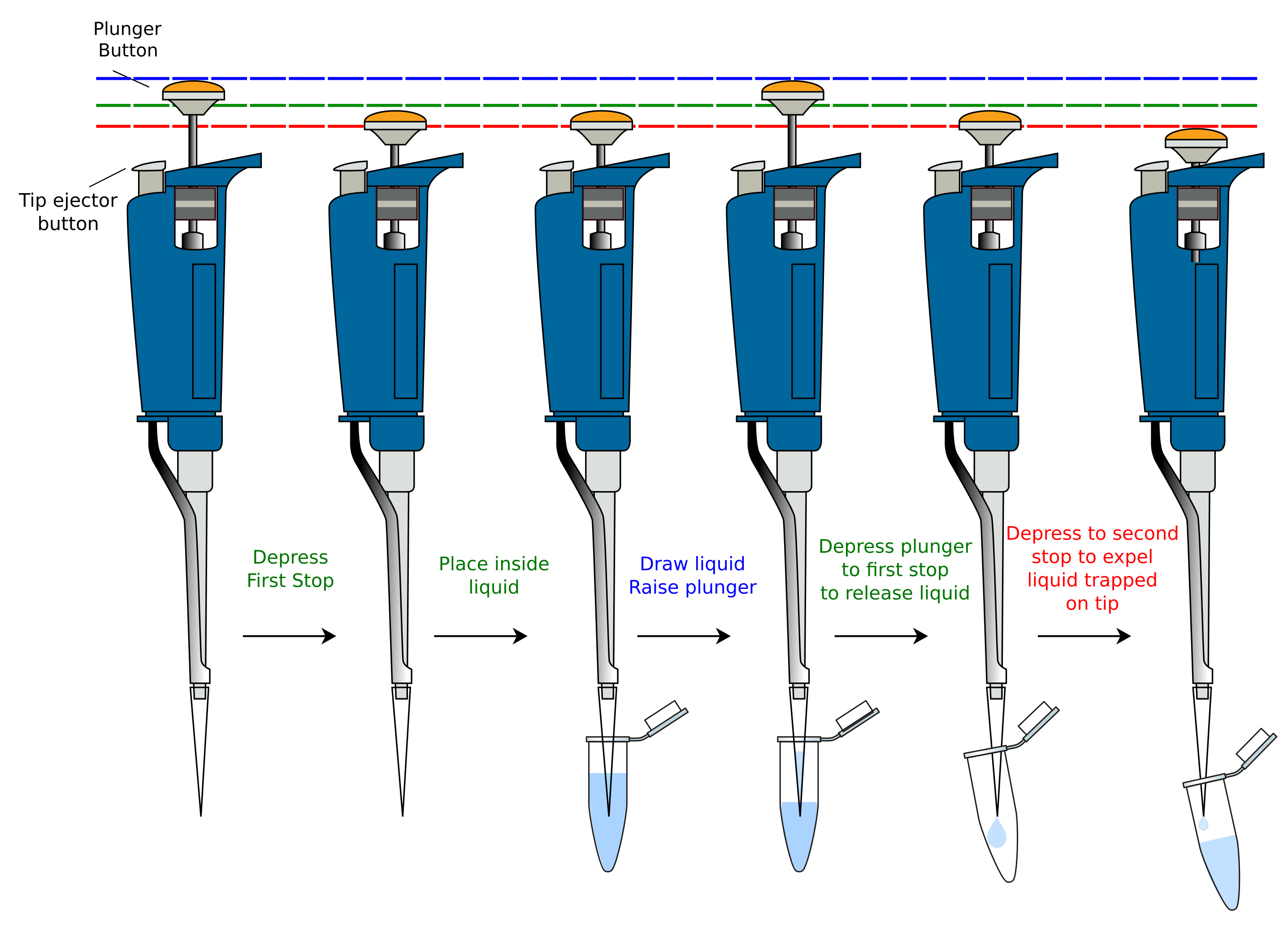 Pipetting Basics A General Biology And Molecular Cell Biology Resource