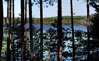 Middlesex Fells Reservation