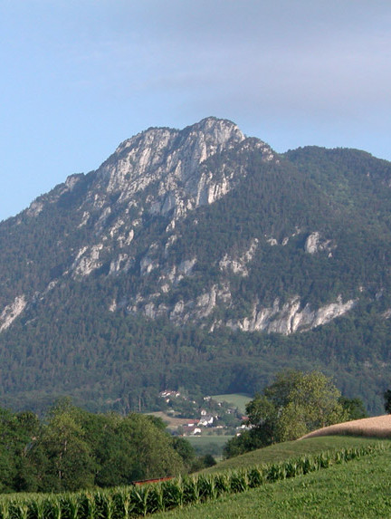 Balmflue