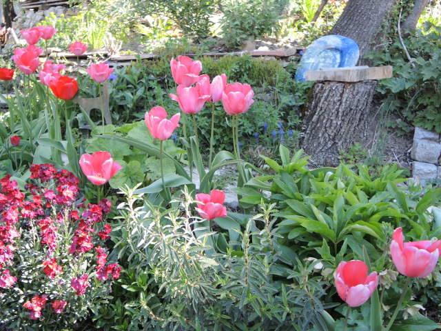 Easter tulips
