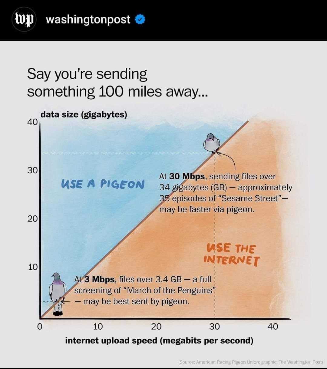Send data by pigeon