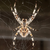 Spiderinnet