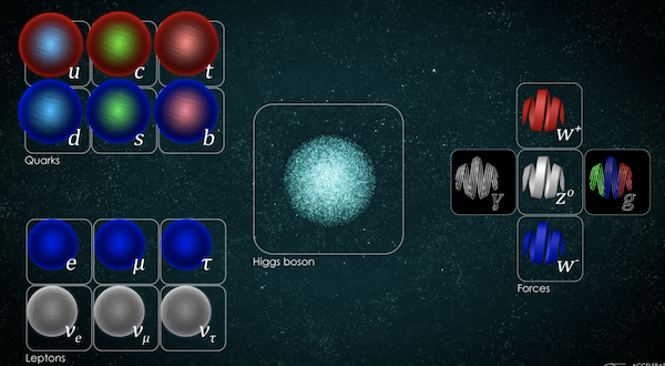 Standard model