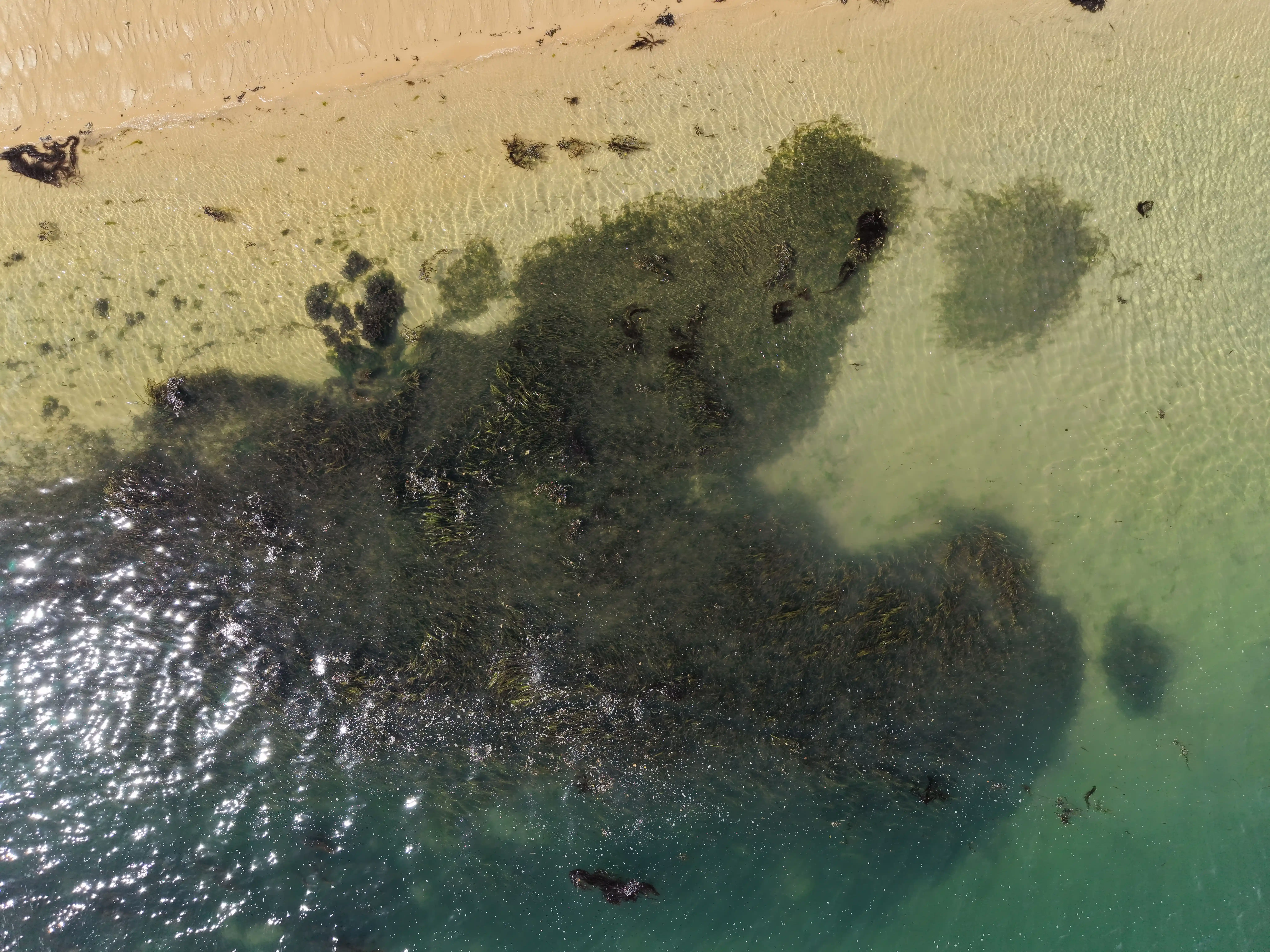 Vue drone de la mer
