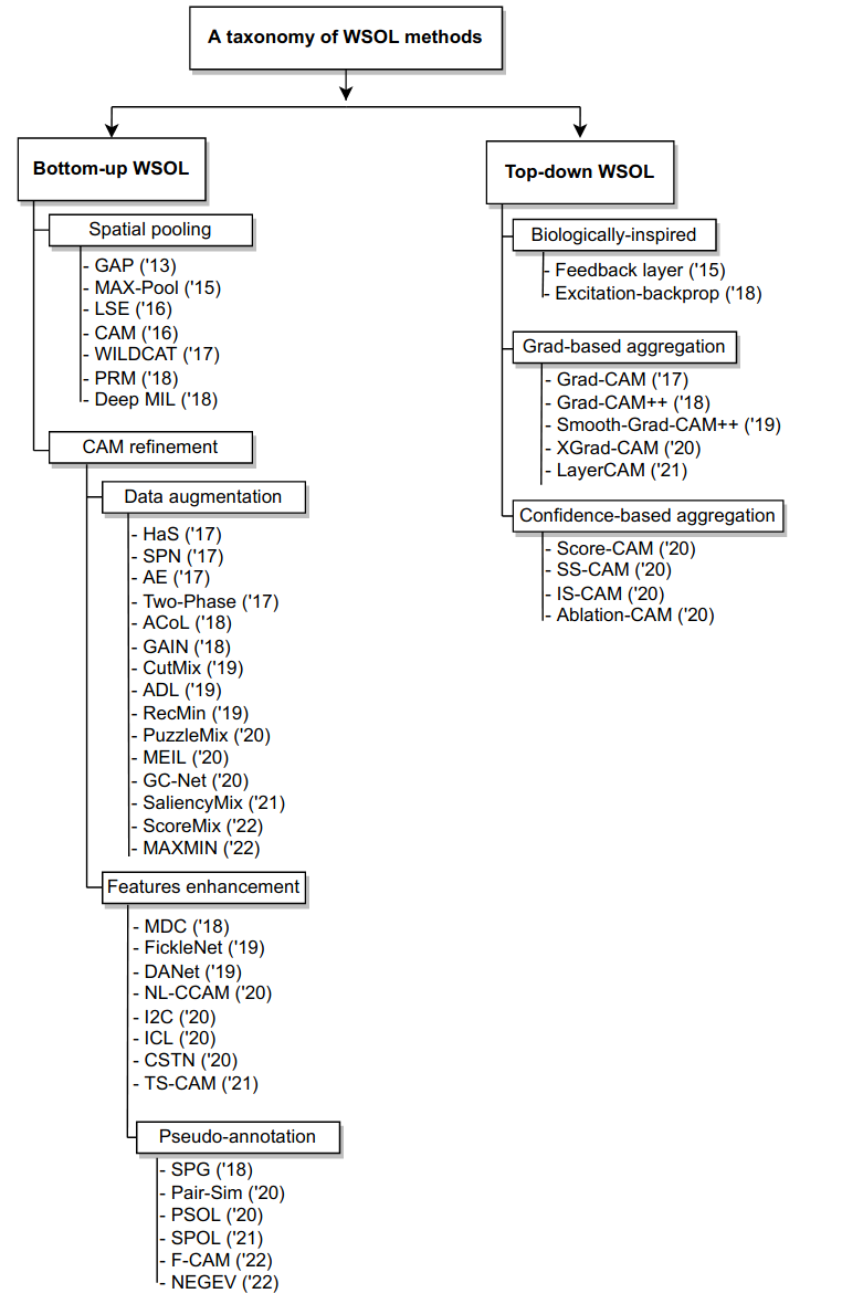 taxonomy