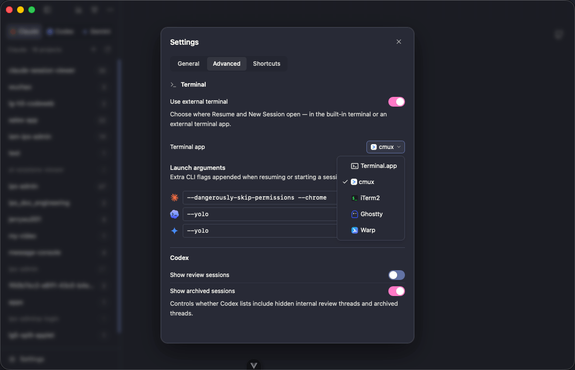 Settings — terminal picker and launch arguments