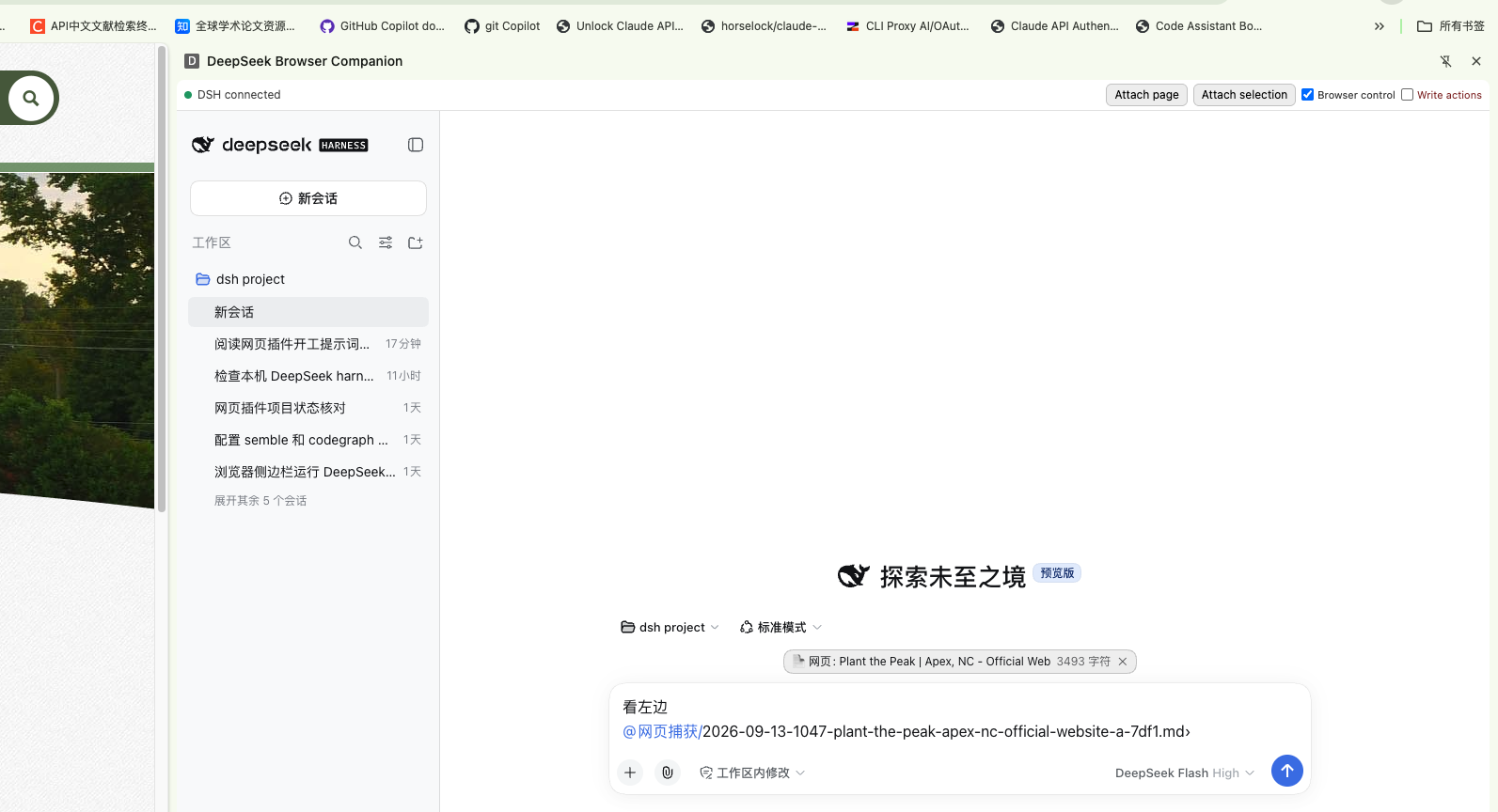 The side panel: DSH connected, the four buttons (attach page / attach selection / browser control / write actions), and a captured page referenced in the chat as @文件