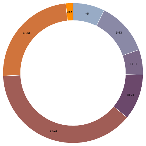 Donut Chart