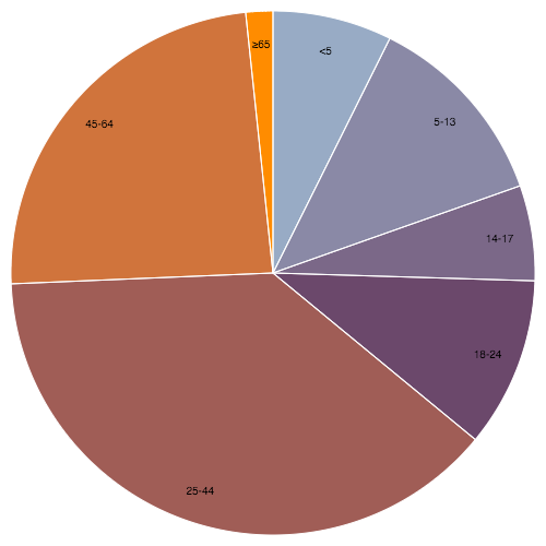 Pie Chart