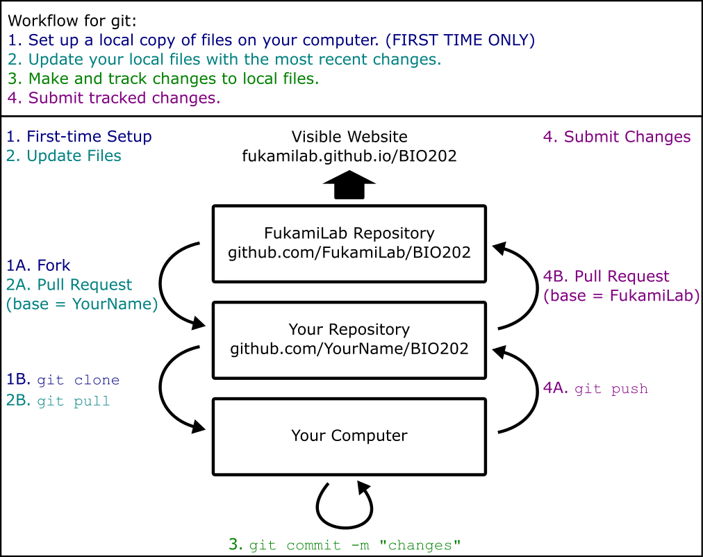 Workflow for editing the course website with git