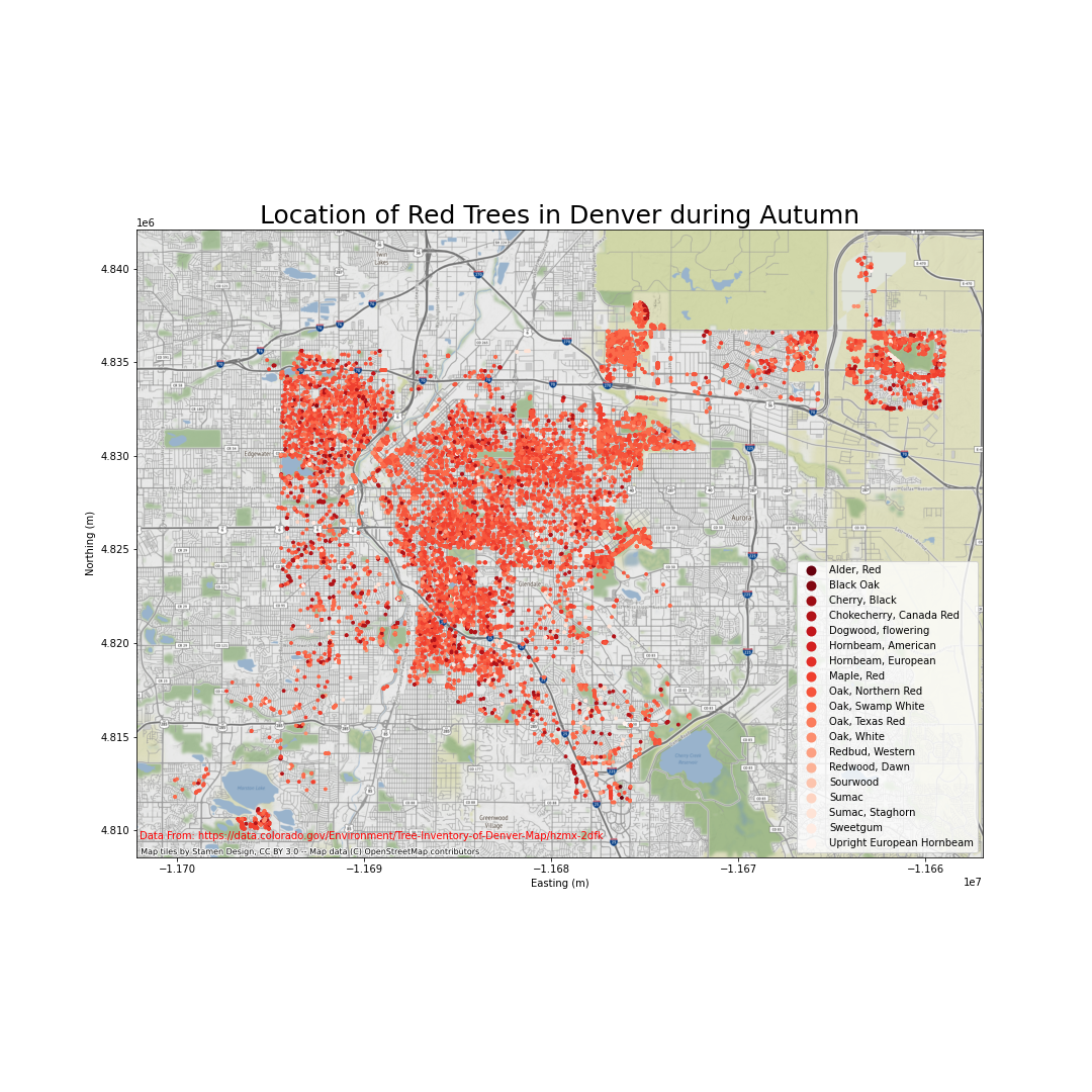 Red Trees in Denver