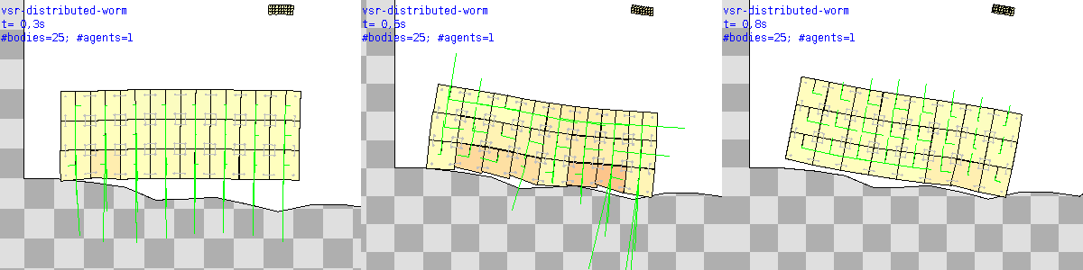 Distributed worm VSR