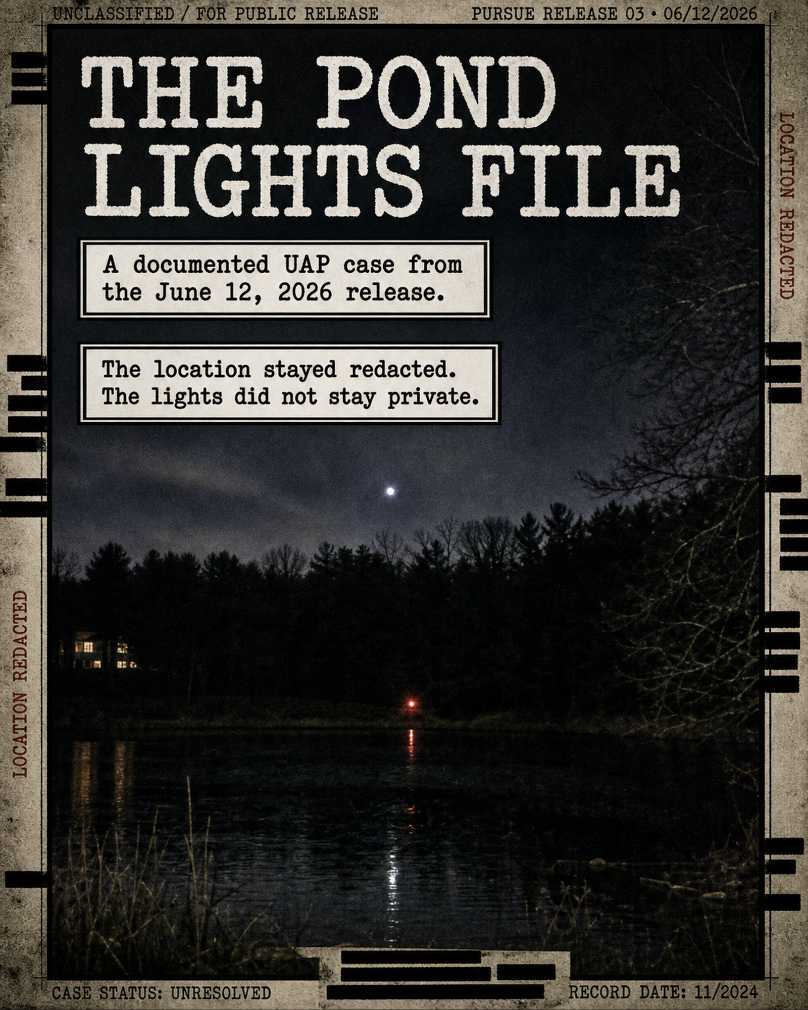 The Pond Lights File cover art