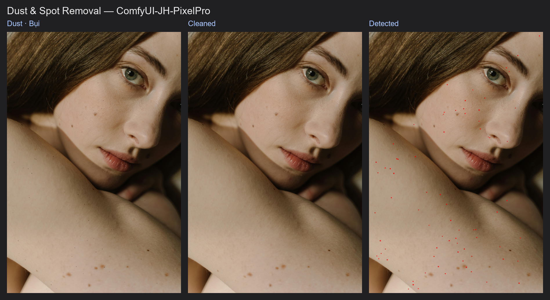 Result: Dust & Spot Removal example workflow