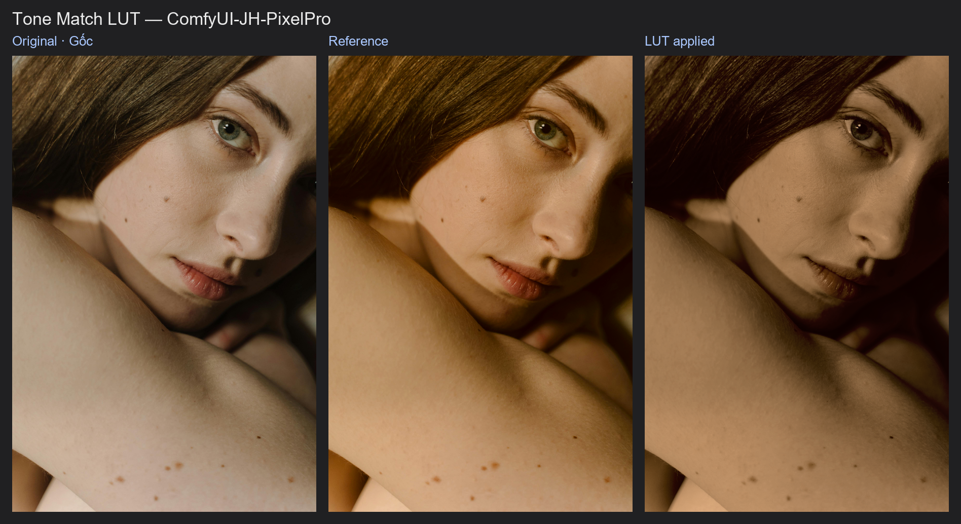 Kết quả: Tone Match LUT example workflow