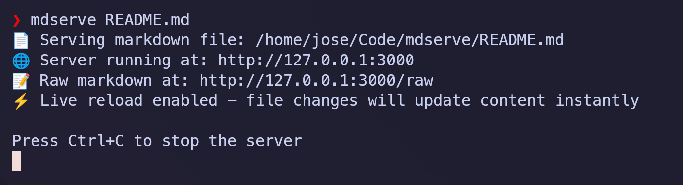 Terminal output when starting mdserve