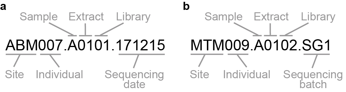 MPI-SHH LIMS naming structure