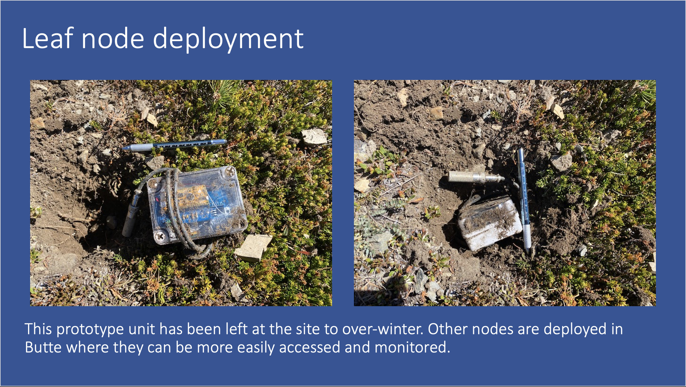 THe leaf node deployment